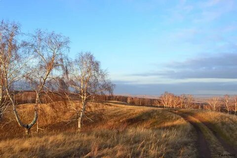 Любительские фото природы