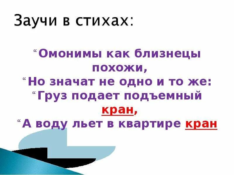 Слова Близнецы. Омонимы 2 класс презентация. Слова Близнецы омонимы. Задания по теме омонимы 3 класс. Ветер налетел и промчался