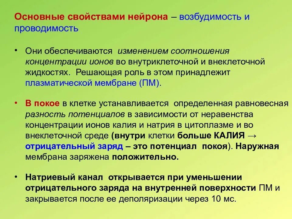 Основные свойства нейронов. Основные свойства нервной клетки. Физиологические свойства нервных клеток. Основное свойство нервных клеток. Какие клетки обладают возбудимостью и проводимостью