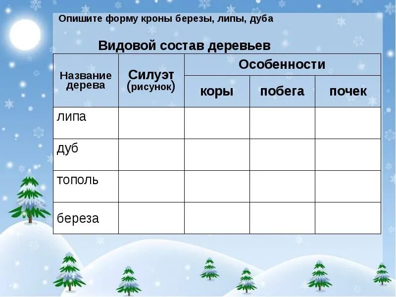 Зима изменения в жизни растений биология. Экскурсия зимние явления в природе. Экскурсия зимние явления в жизни растений 6 класс биология. Зимние явления в жизни растений. Зимние явления в жизни растений 6 класс.