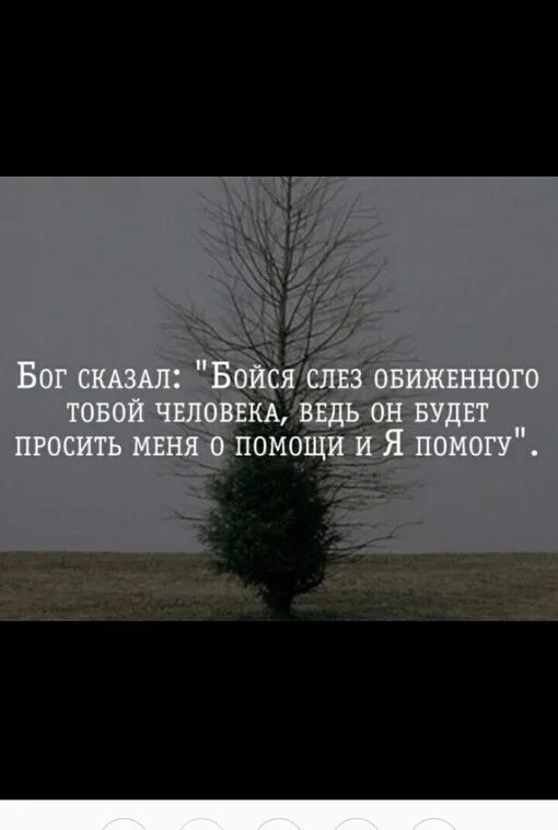 Цитаты про талантливых людей. Бог сказал бойся обиженного тобой человека. Бог сказал бойся слез обиженного тобой. Бойся слез обиженного тобой человека. Не бойся расскажи.