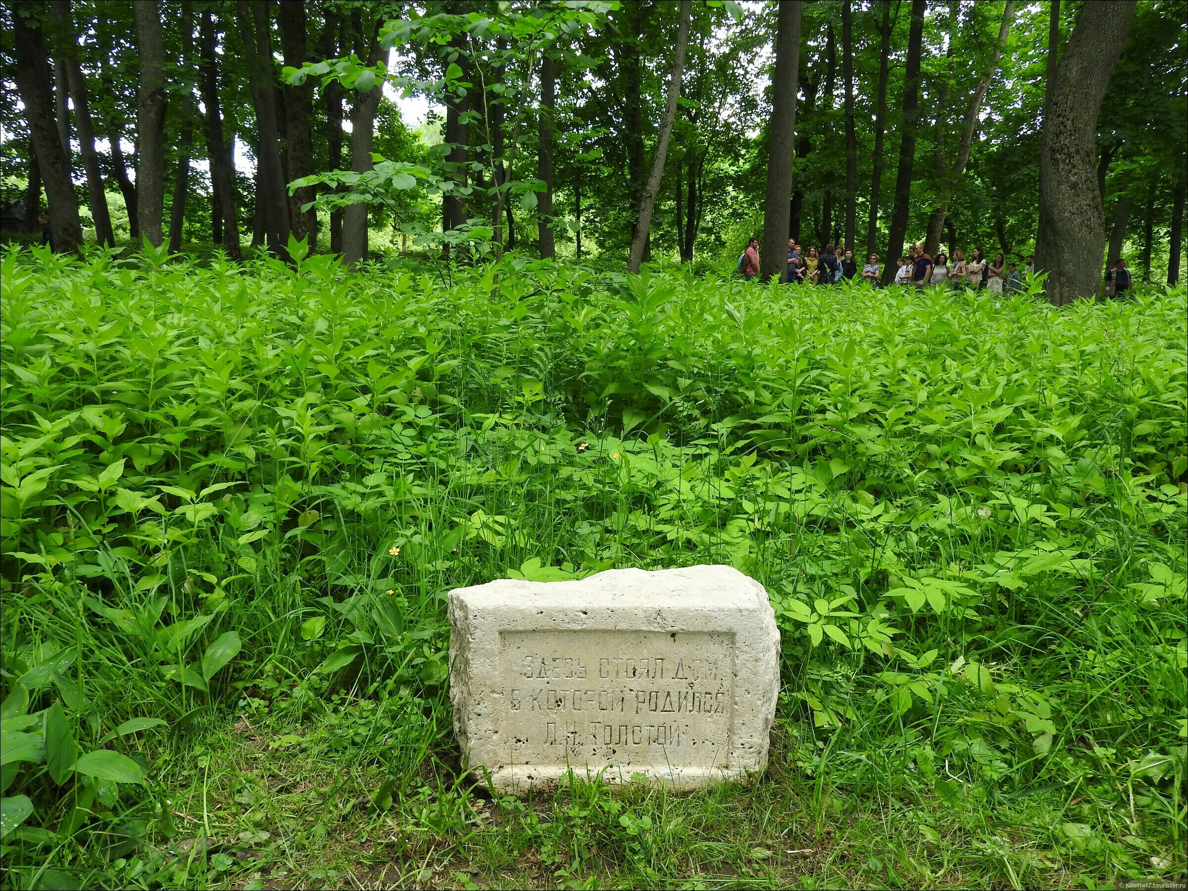 На поляне стоял. Природа для презентации. На поляне стоял. На поляне стоял. Канакина 2 класс стр.