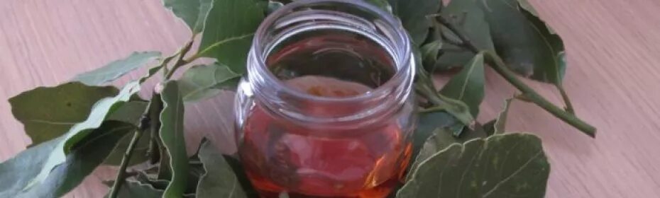 Отвар лаврового листа. Лавровый отвар для выкидыша. Лавровый лист при беременности для выкидыша. Настой лаврового листа для месячных. Лаврушка зажуем.