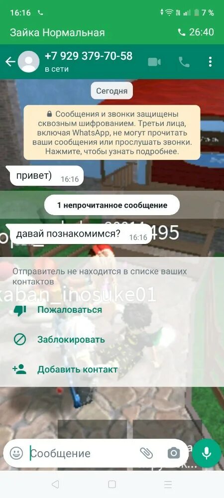 Номера мошенников ватсап. WHATSAPP мошенники. Мошенничество через ватсап. Номера арабов в ватсапе. Мошенничество в ватсапе