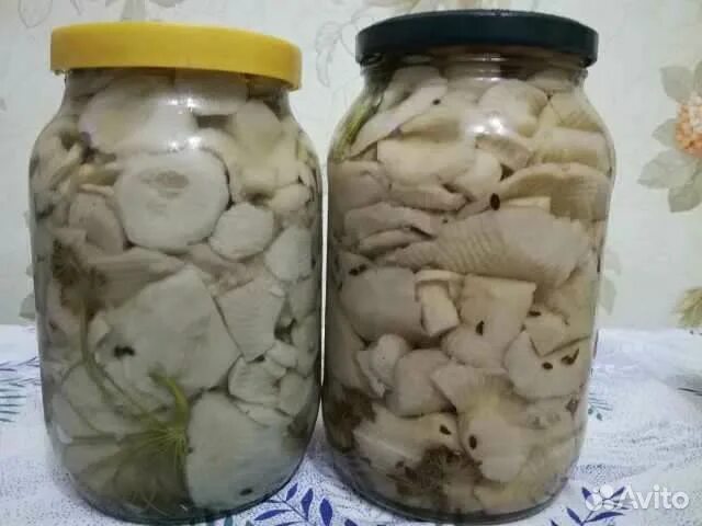Грузди на зиму под капроновой крышкой. Грузди в банках. грузди в банке. грузди соленые. грибы грузди в банке.