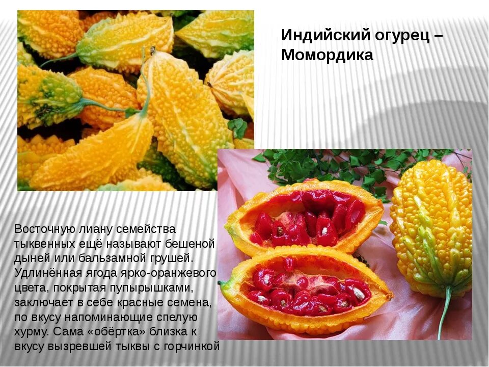 Семена момордика "Найя", цп, 4 шт. Семена Алтая 1000493334 купить от 104 руб. в