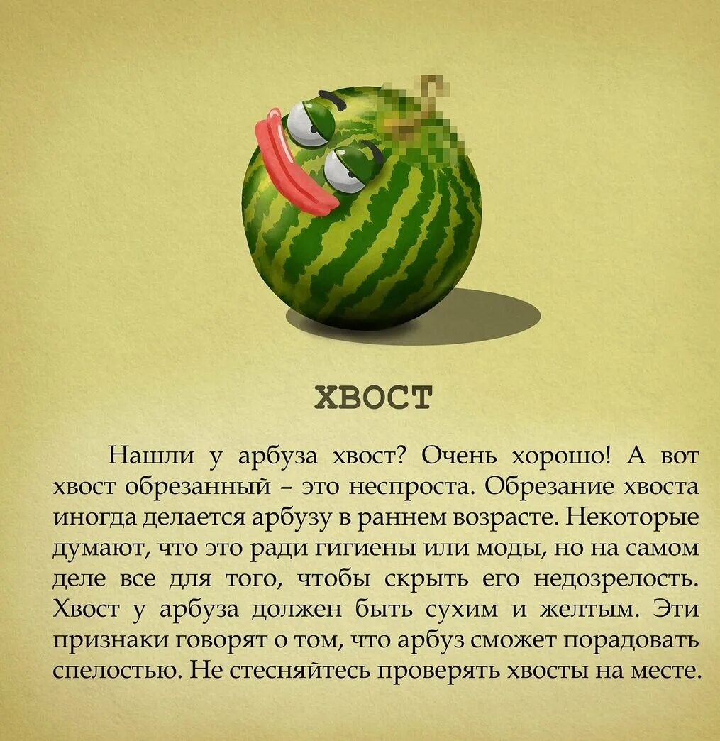 Стих про Арбуз. Анекдот про Арбуз. Стих про Арбуз прикольный. Смешные стишки про Арбуз. Слова со словом арбуз