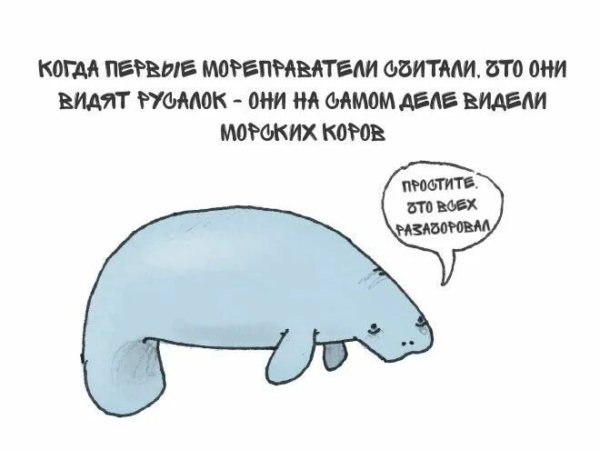 Несуществующие факты. Факты о животных. короткие интересные факты о животных. интересные факты о животных в картинках. смешные факты о животных.