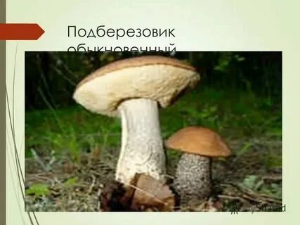 Как распознать ложный