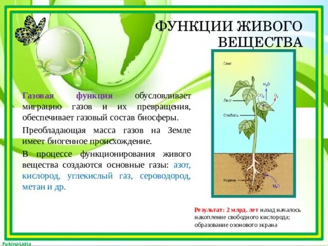 Примерами газовой функции живого вещества являются. Функции живого вещества. Функции живого вещества в биосфере. Функции живого в биосфере. Транспортная функция живого вещества в биосфере.