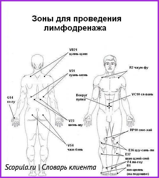 Как делать лимфодренажный массаж в домашних. Лимфодренажный массаж тела схема выполнения. Лимфатический массаж тела схема. Схема движений для лимфодренажного массажа. Схема проведения лимфодренажного массажа.