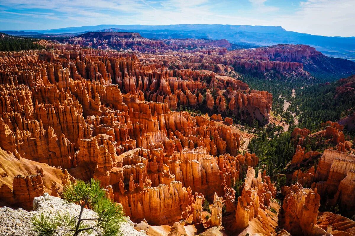 National park usa. Национальный парк Брайс-каньон США. Национальный парк Брайс-каньон штат Юта США. Брайс-каньон, штат Юта парк. Брайс каньон парк в США.