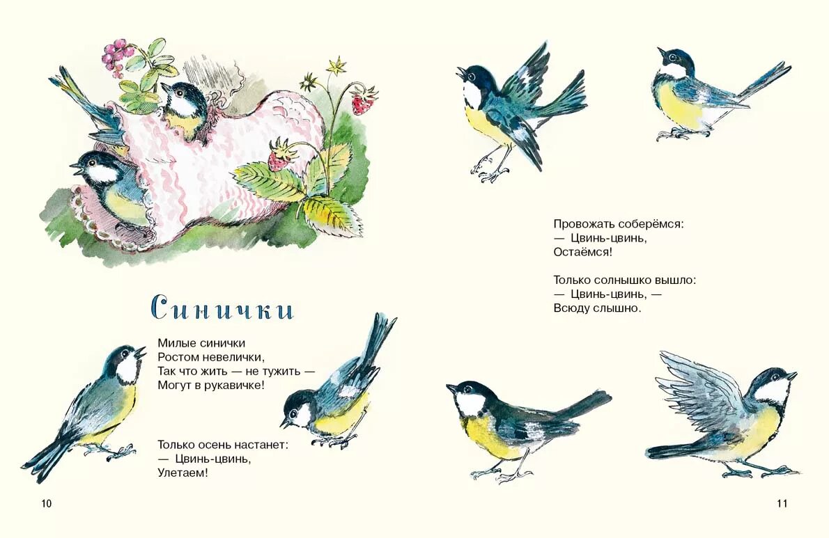 Стихи для детей про птиц весной