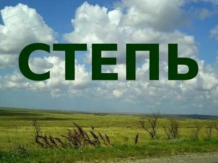 В степи 4 класс перспектива