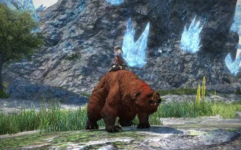 Последняя версия bear