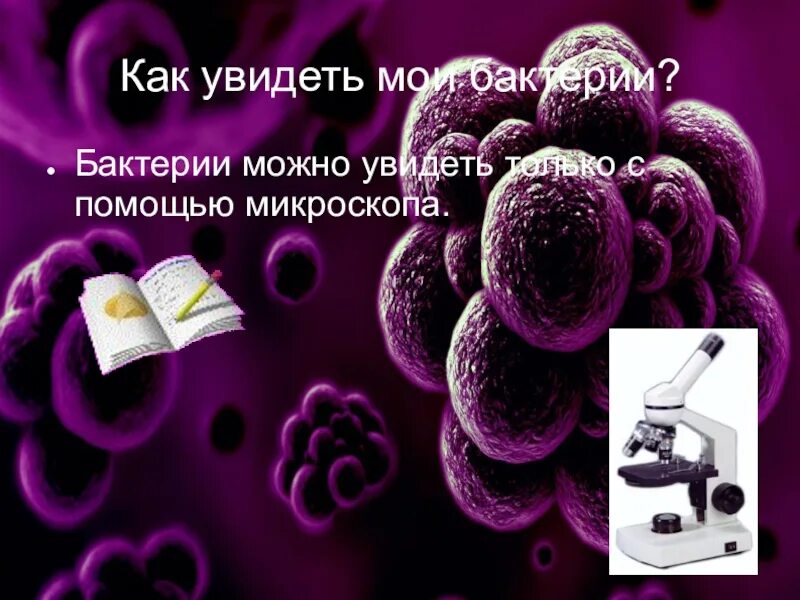 Большинство бактерий можно увидеть. Как увидеть микробов без микроскопа. Микроскоп чтобы увидеть бактерии. Микроскоп который видит микробы. Увеличение микроскопа чтобы увидеть бактерии.