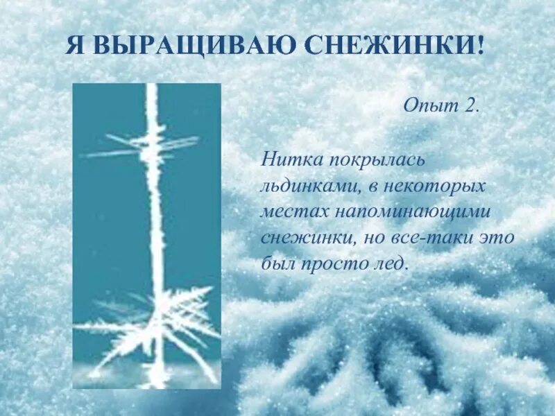 Опыты со снежинками. Опыт соленая Снежинка. Экспериментирование Снежинка. Снежинка из соли опыт. Как образуются снежинки 3