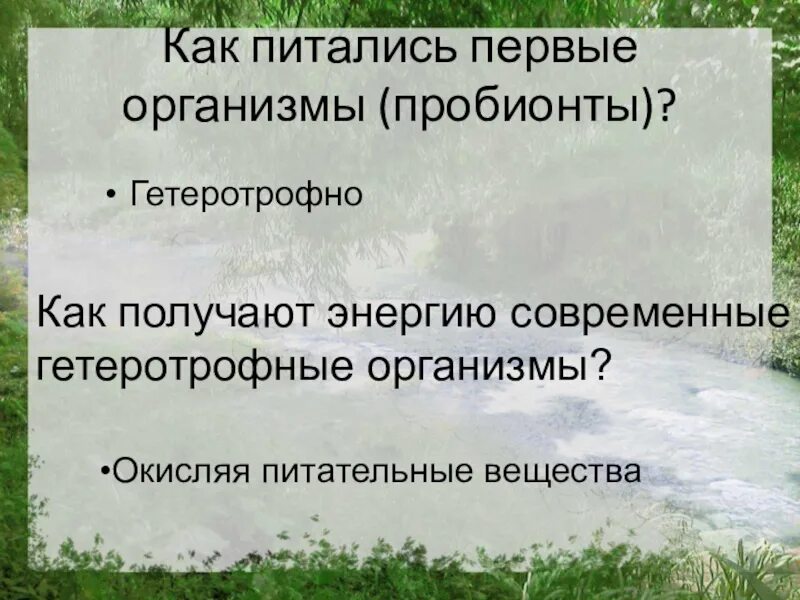 Как питается первый живой организм. Как питались первые организмы пробионты. Как получают энергию современные гетеротрофные организмы. Значение круговорота веществ в развитии жизни. Первые гетеротрофные организмы.