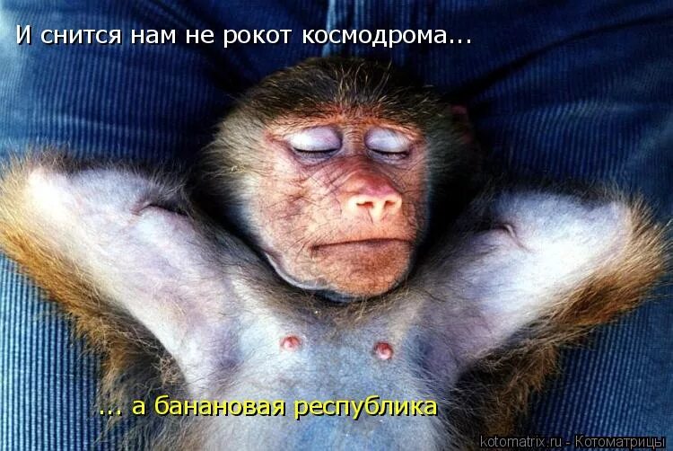 чуйская долина плантации. слова песни трава у дома текст песни. слушать и снится нам не рокот космодрома. и снится нам не рокот космодрома. слушать и снится нам не рокот космодрома.