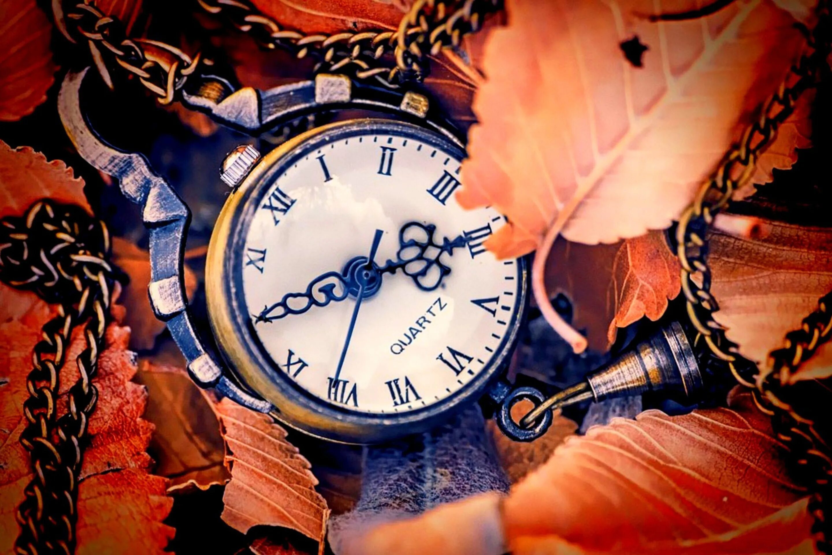 Красивые часы. Осенние часы. Винтажные часы. Красивый фон с часами. 1024 минуты