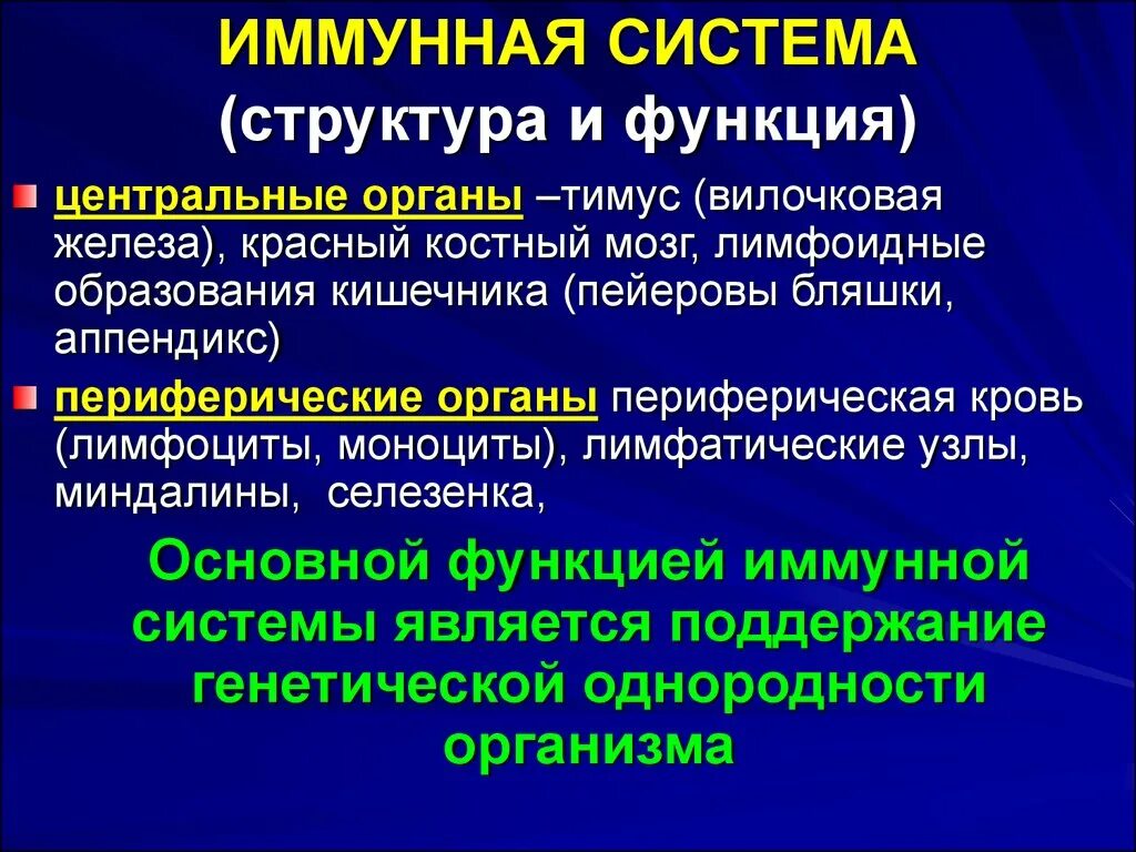 Структура иммунной системы. Иммунная система ее структура и функции. Строение органов иммунной системы. Основные функции иммунной системы. Иммунный центр