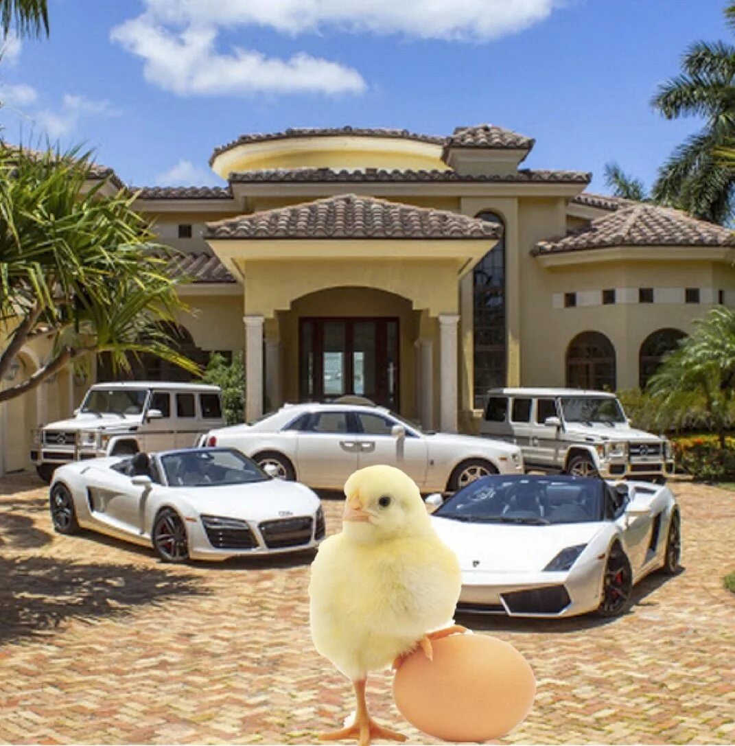 Luxury Inclusive resorts, Luxury interior design, Best all inclusive resorts