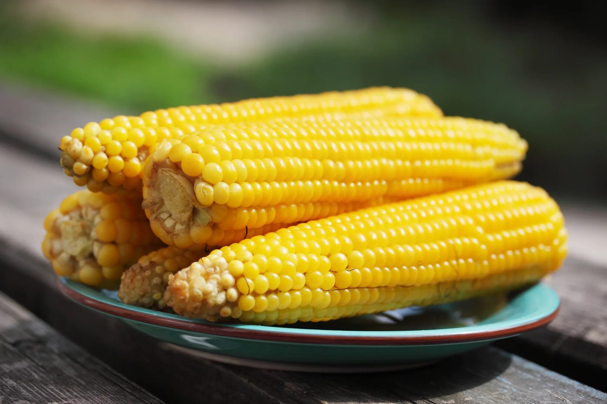 Corn кукуруза. Вареная кукуруза. Мисир, Misir. Кукуруза в початках вареная. Сладкая вареная кукуруза.