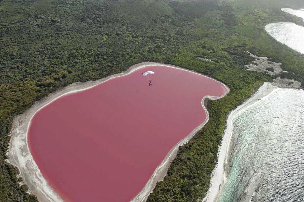 Самое маленькое озеро в америке. Озеро Хиллер. Озеро Хиллер (остров Миддл). Озеро Хиллер (hillier), Австралия. Розовое озеро Хиллер Австралия.