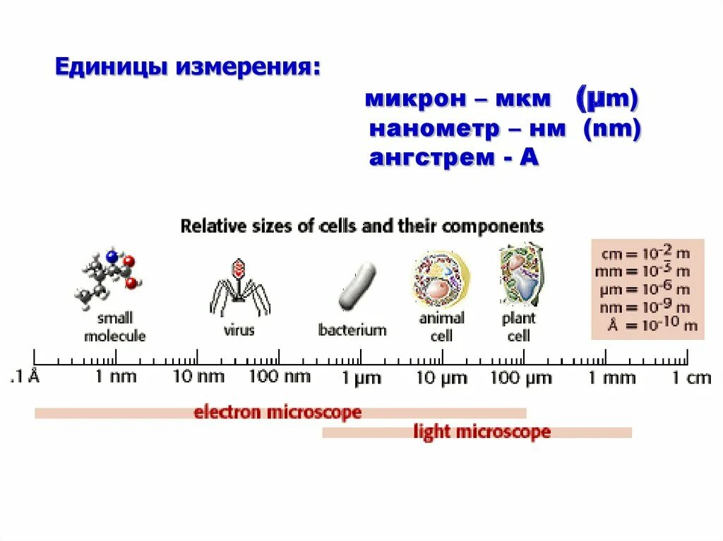 Единица измерения 1 микрон. Нанометр единица измерения. Единица измерения миллимикрон. Единицы измерения нанометр Ангстрем. 0 5 мкм в м