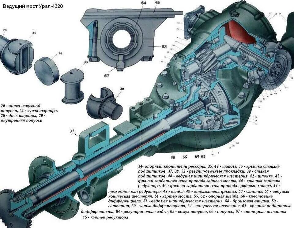 Камаз 5 мостов. Передний мост Урал 4320 в разрезе. Передний ведущий мост Урал 4320. Ведущий мост КАМАЗ 4310. Редуктор переднего моста Урал 4320 устройство.