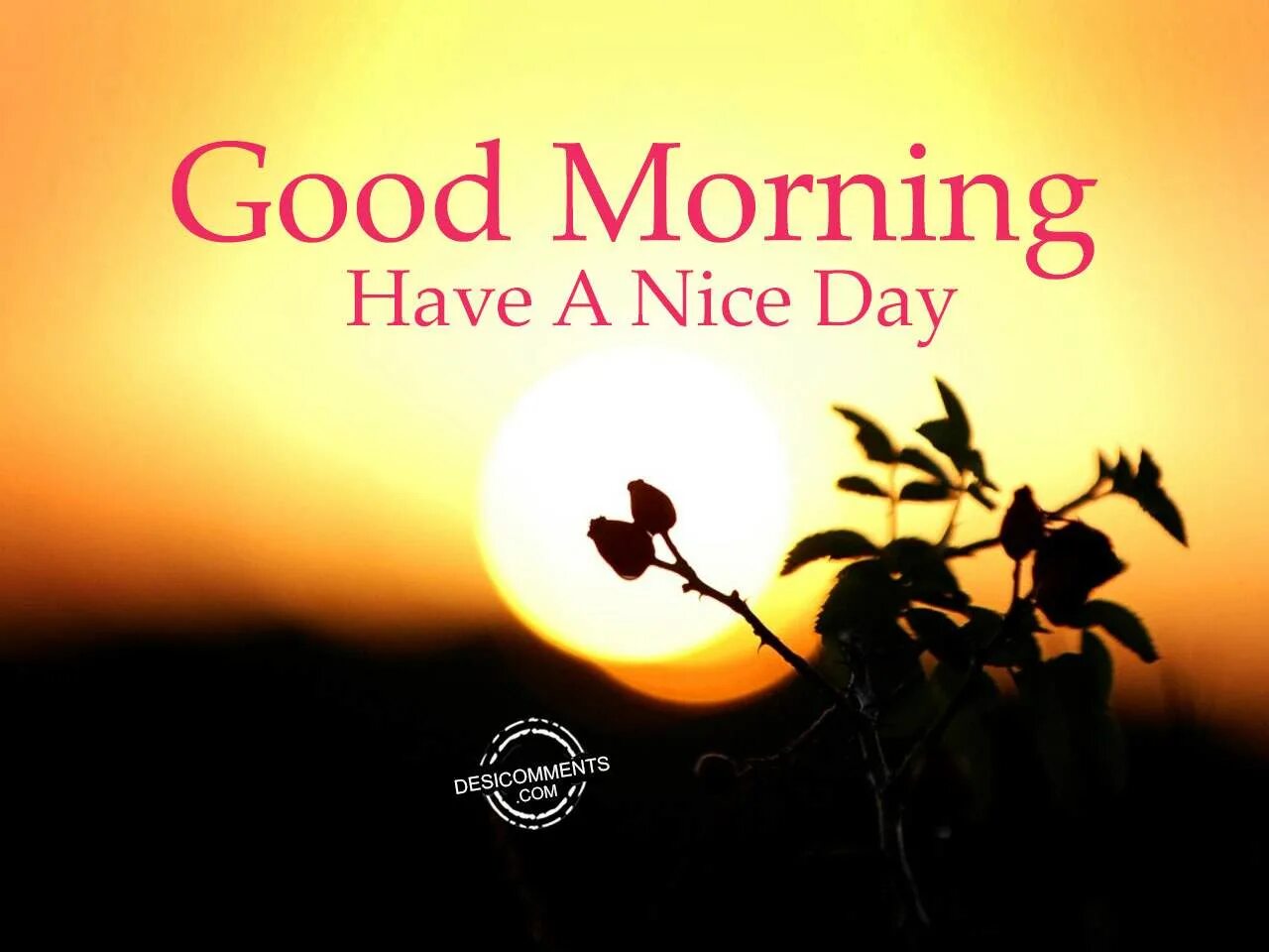 Dear friend good day. Открытка good nice Day. Good morning have a nice Day. Good morning nice Day. Good morning have a good Day.