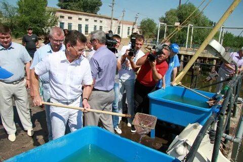 Сайт каспнирх астрахань