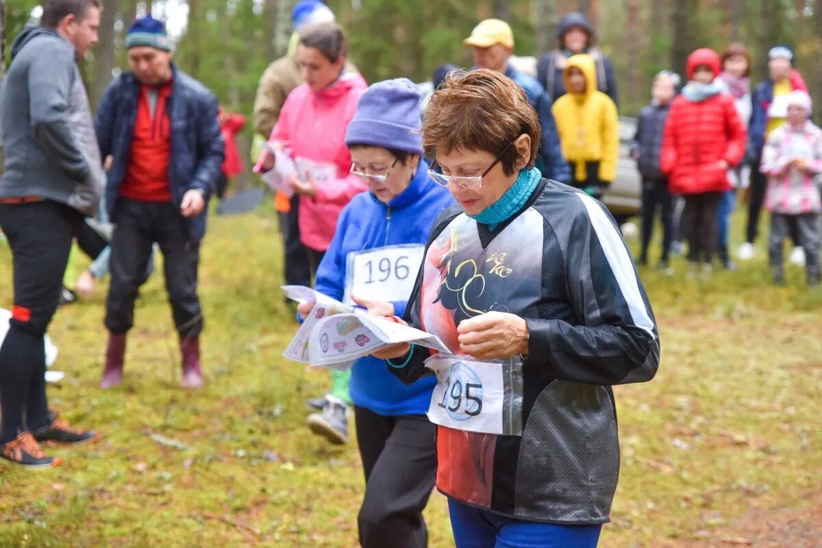 кфсо ориентирование. анатолий шелёхин спортивное ориентирование. кфсо ориентирование. новокузнецк спортивное ориентирование орион. дмитрий бучатский ориентирование.