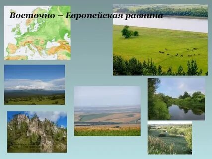 Восточно европейская равнина кавказа
