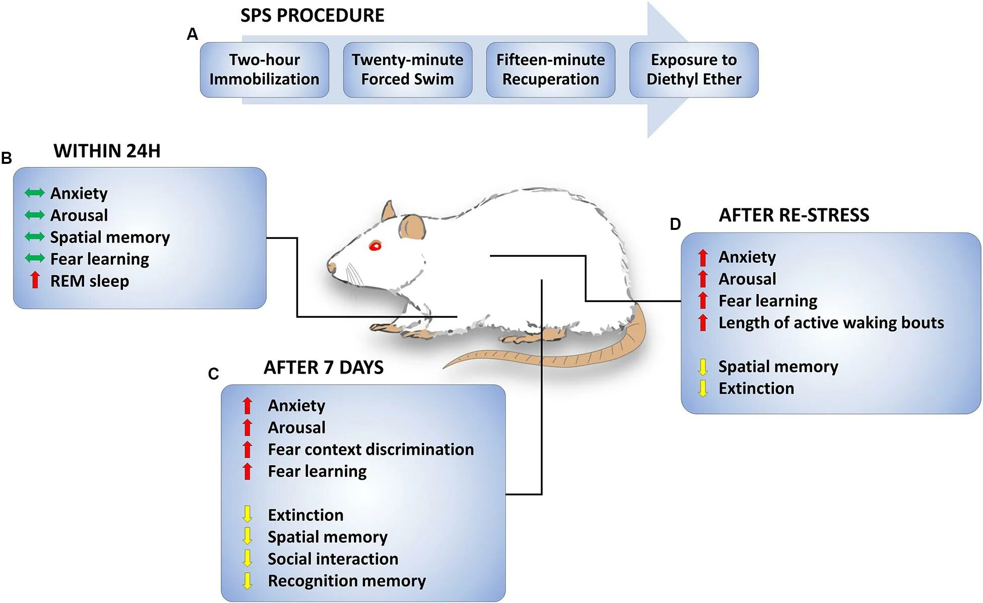 9mice модель. Рыбы которые получают стресс. PTSD Behavioral Test animals model. Auger Part stress Modeling. Processing within