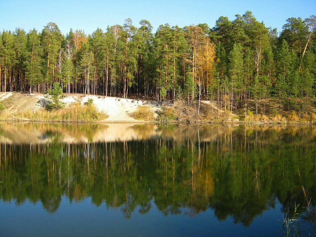 Озеро солнечный берег. Озеро солнечное Шадринск. Бор Шадринск. Сосновый Бор Шадринск. Котлован Сосновый Бор.