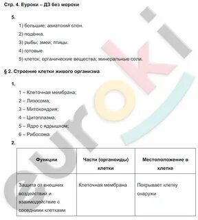 Биология 7 класс рабочая тетрадь стр 26