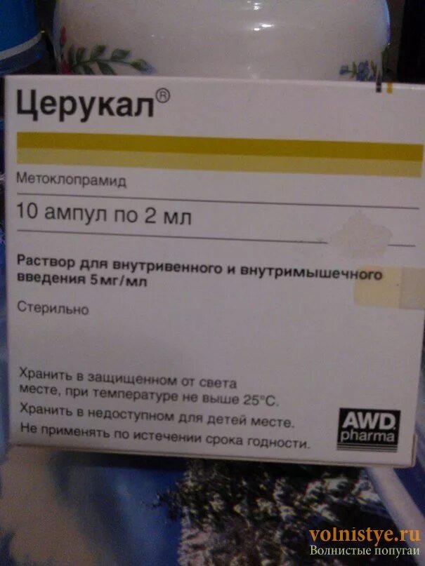 Церукал сколько пить. Церукал дозировка для детей в таблетках. Церукал ампулы детям при рвоте. Церукал от рвоты.