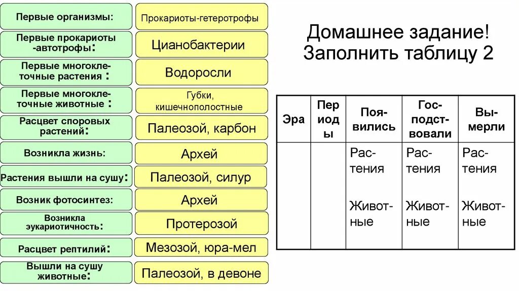 Характеристики первых организмов. Первые организмы таблица. Первые организмы. Таблица Архей протерозой палеозой.