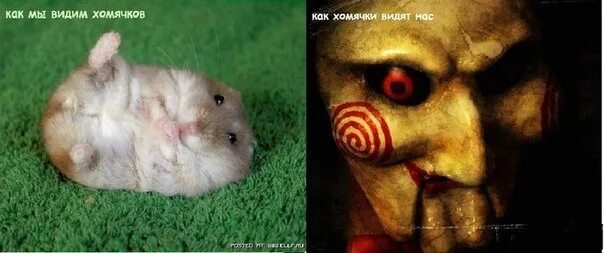 Pin en *Memes Arte de anatomía humana, Arte de anatomía, Memes