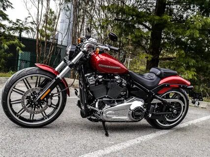 Harley 114