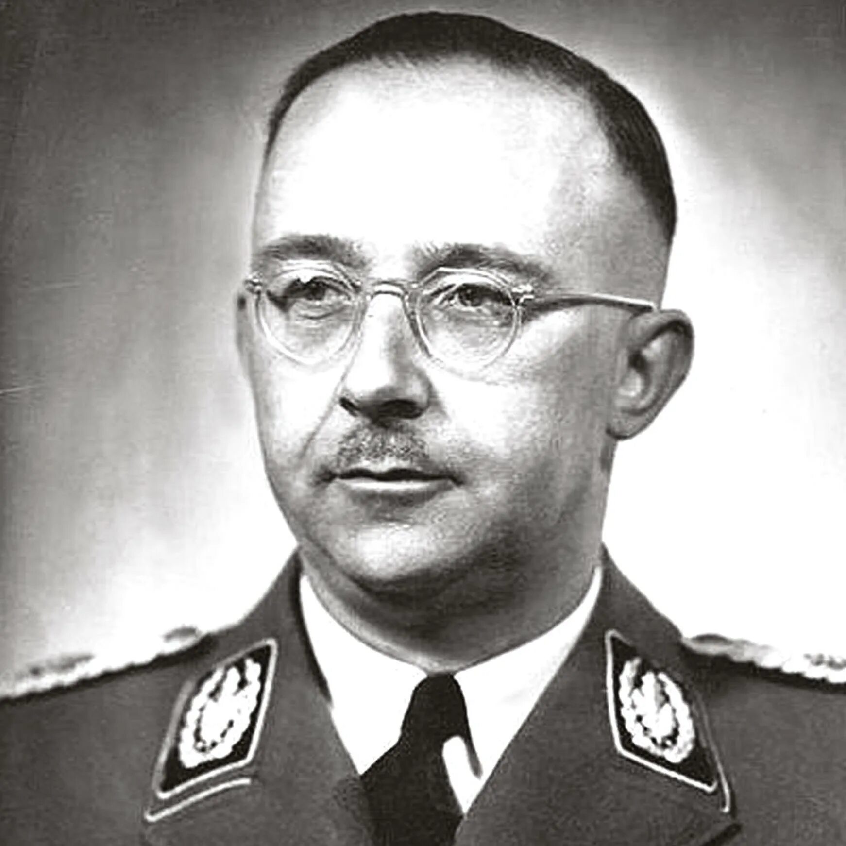 Heinrich himmler. Heinrich himmler. Heinrich himmler. Рейхсфюрер гиммлер. Heinrich himmler.