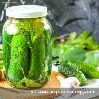 Мариновать огурцы яблочным уксусом