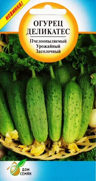 Огурец партенокарпический аристан f1. Огурец деликатесный f1. Огурец московский деликатес. Огурец деликатес. Огурец московский деликатес.