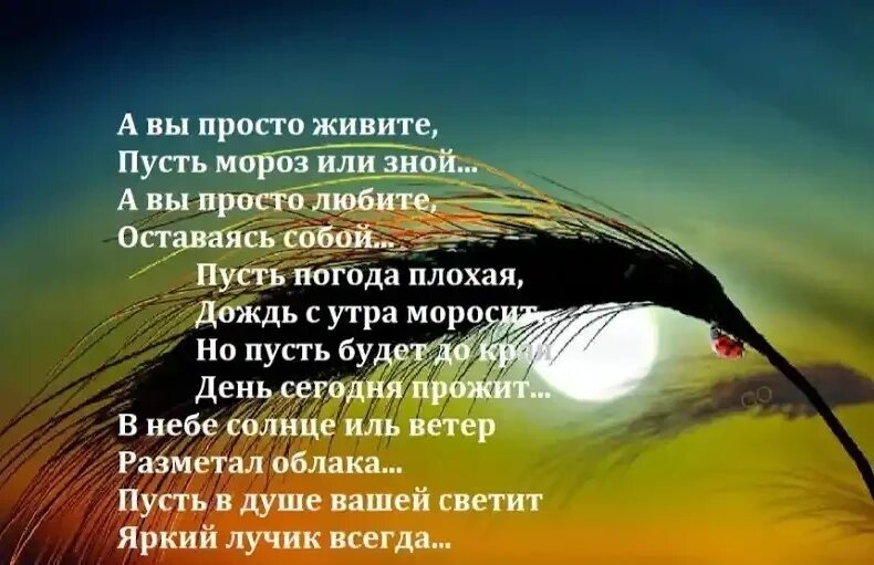 Сегодня будем просто жить. Просто живите просто любите. Жить просто жить. Жить проще. Картинка какое чудо просто жить.