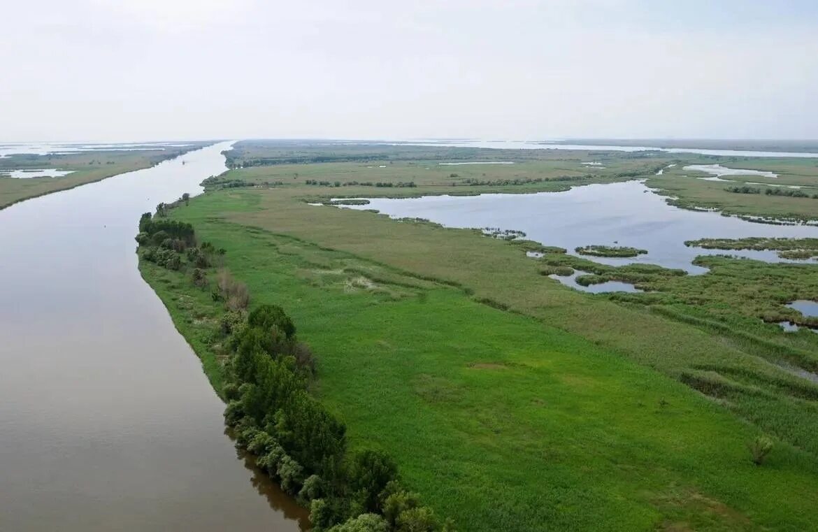 Водные ресурсы Астраханской области. Волга вода. Село Осопное Астраханская область. Начало (Астраханская область). Volga is longest river