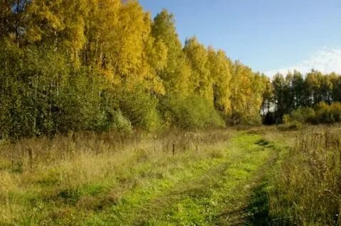 Деревня красновидово