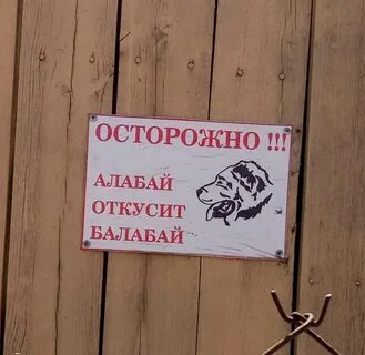 Он здесь живет