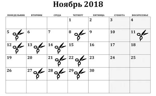 Когда можно стричь волосы оракул ноябрь 2025. Календарь стрижек на ноябрь. календарь стрижек на ноя. благоприятные дни для стрижки в ноябре. стрижка по лунному календарю на ноябрь.