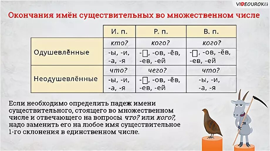 Винительный падеж множественного числа существительных. Окончания существительных в винительном падеже множественного числа. Винительный падеж имен сущ множественного числа 4 класс. Винительный падеж множественного числа существительных 4 класс. Множественное число имен прилагательных 4 класс карточки